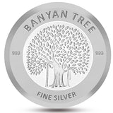 Silver Coin