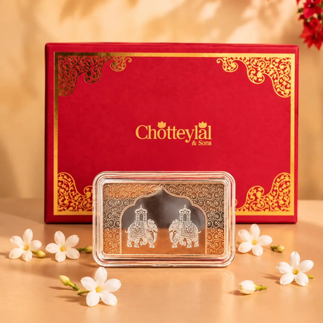 The Aashirwaad Two Elephants 10g Dollar Shape Silver Coin