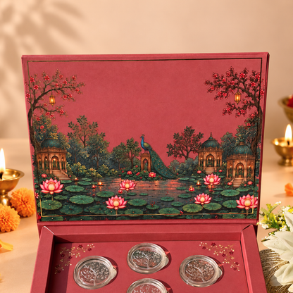 Gulabi Bagh Shagun 7g Silver Coin Box