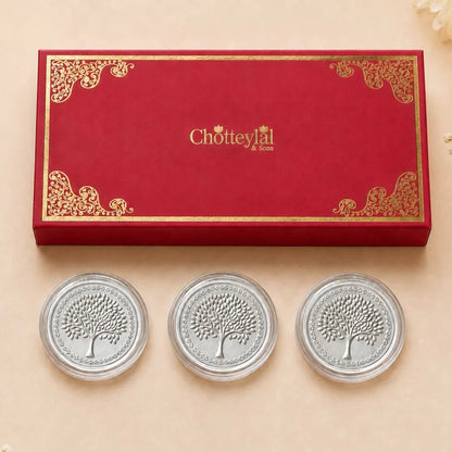 Festive Rakhi Silver Coin Gift Set