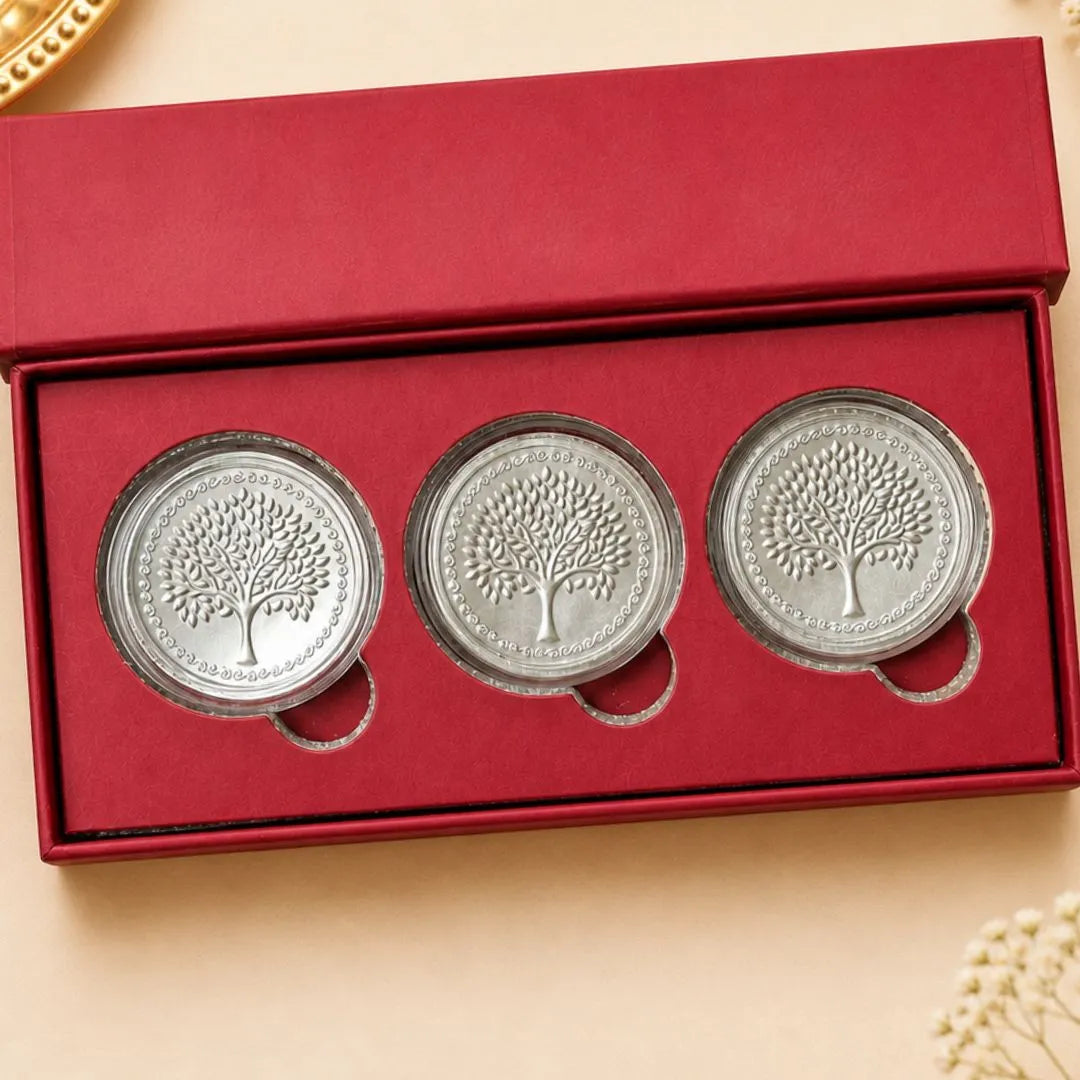 Festive Rakhi Silver Coin Gift Set