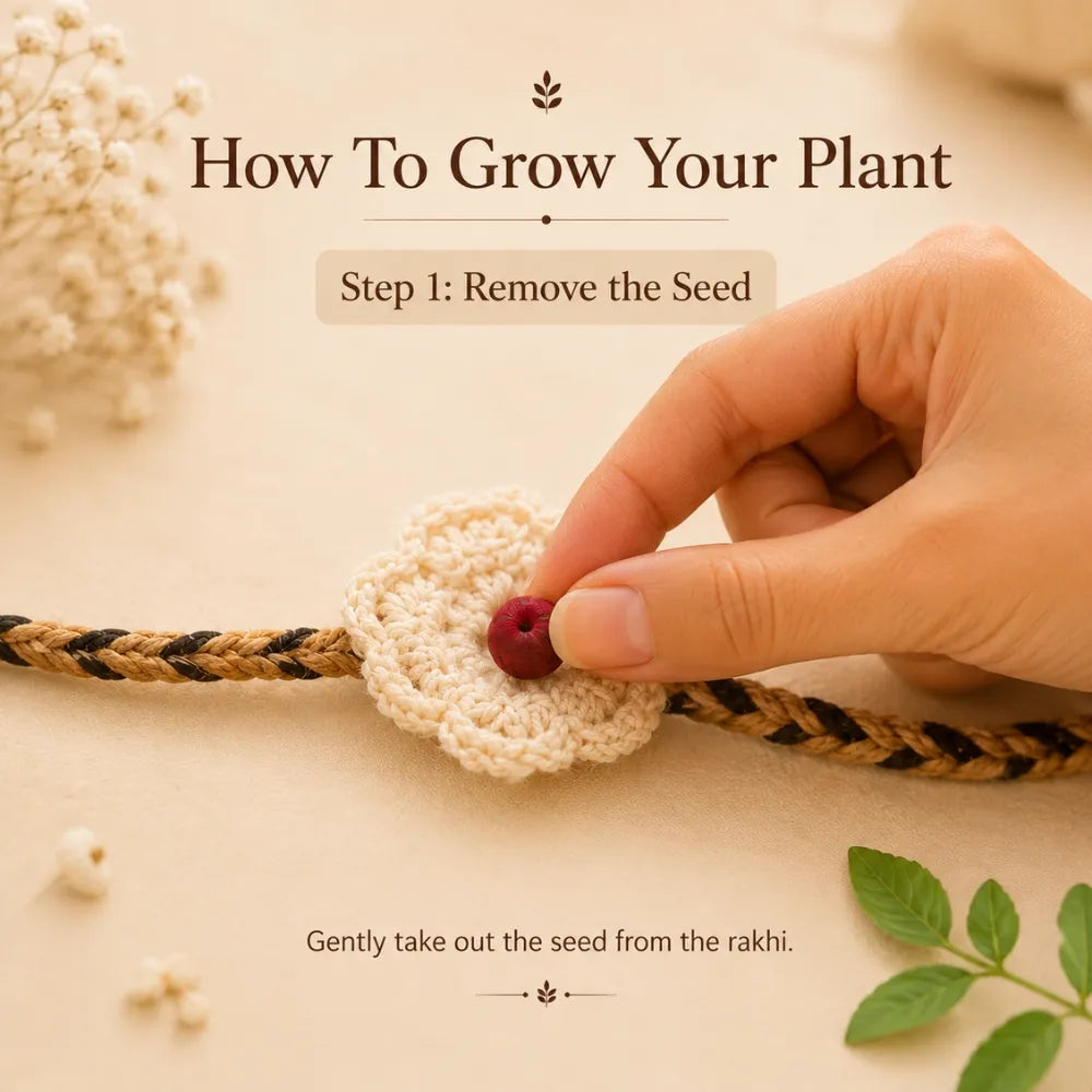 Eco-Friendly Plantable Rakhi | A Gift That Grows
