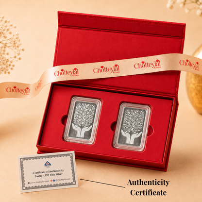 A Blessing Held – Set of 2 Coins (5g Each, Total 10g)