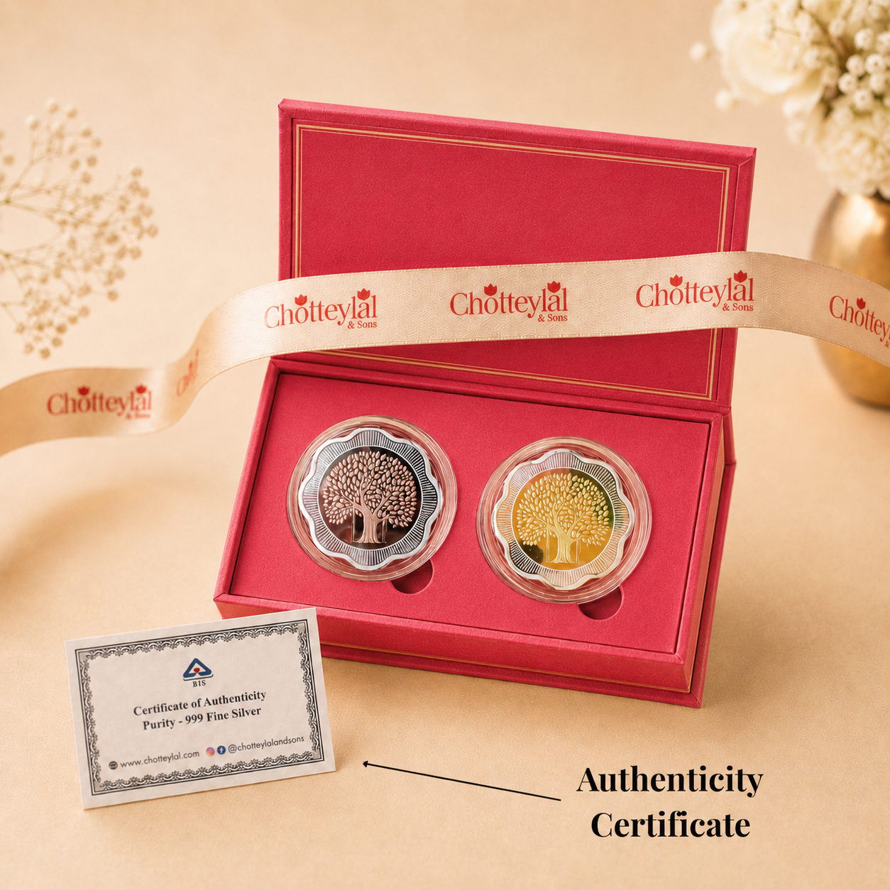Light & Fortune 100g Silver Coin Set - Add Logo/Message