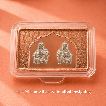 Two Elephant 10 g Silver Coin