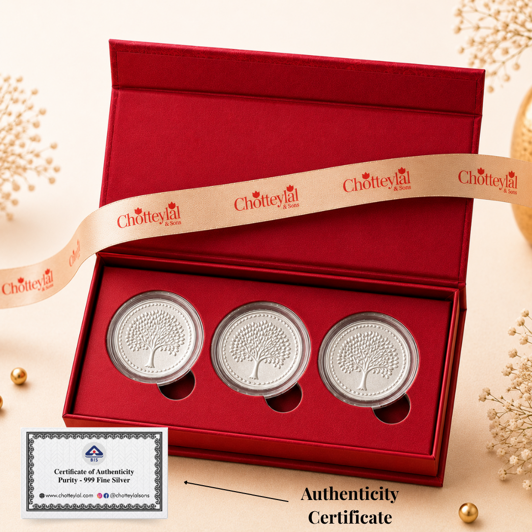 Festive Silver Coin Gift Set
