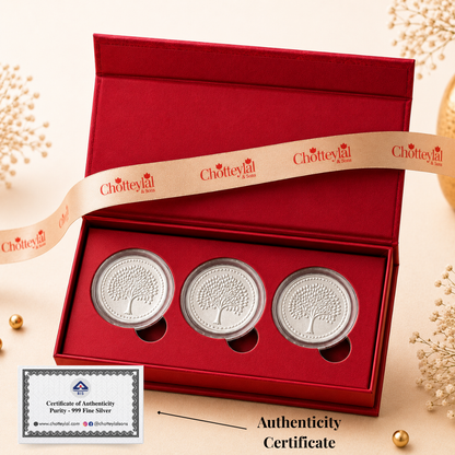 Festive Silver Coin Gift Set