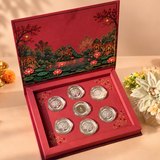 Gulabi Bagh Shagun 35g Silver Coin Box