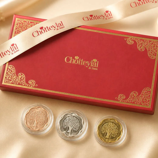 Prosperity Star Silver Coin Set – 3 Premium Coins (2g Each)