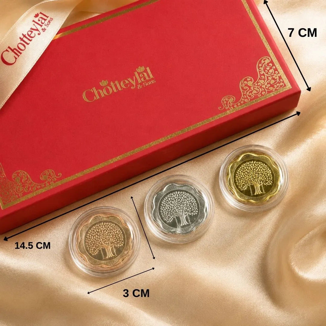 Prosperity Star Silver Coin Set – 3 Premium Coins (2g Each)