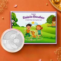 Sibling Goals Always - Rakhi on Hand 10g Coin