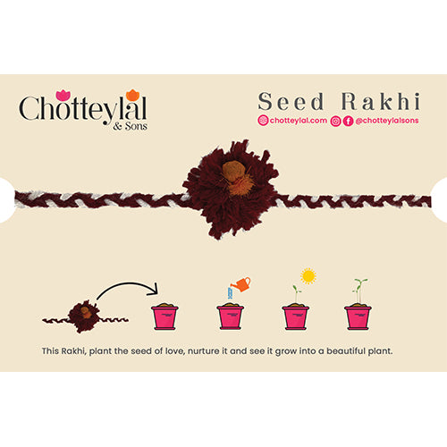 Seed Rakhi - Set of 3 Beautiful Threads