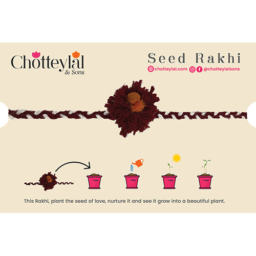 Eco-Friendly Seed Rakhi - Grow A Plant With Love