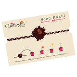 Seed Rakhi - Set of 3 Beautiful Threads